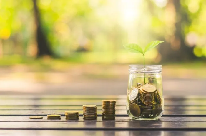 Des pièces de monnaie qui se transforment en plante — symbole de rendements composés sur investissement